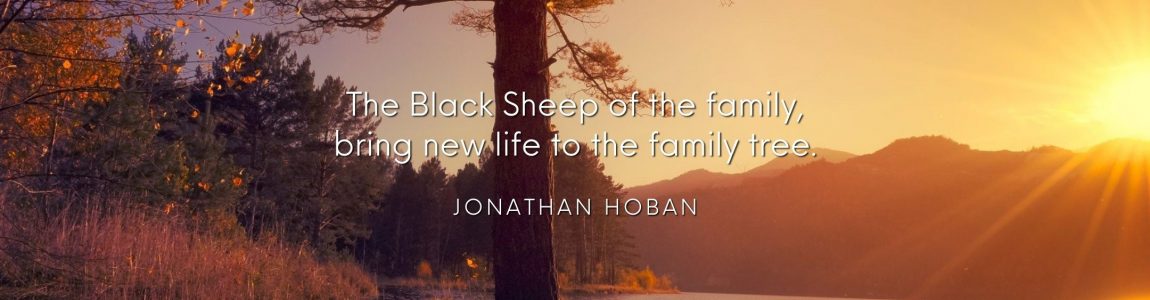 The Black Sheep of the family, bring new life to the family tree. Jonathan Hoban