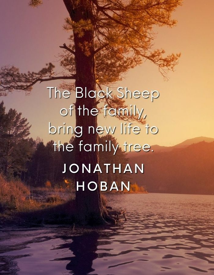 The Black Sheep of the family, bring new life to the family tree. Jonathan Hoban