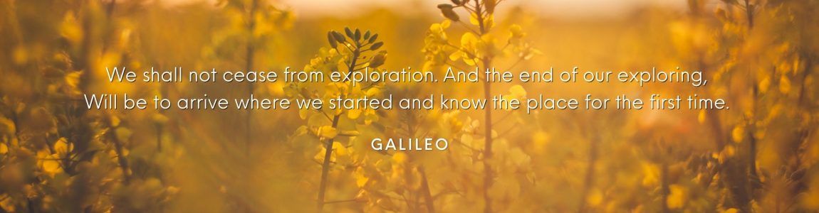 We shall not cease from exploration, and the end of all our exploring will be to arrive where we started and know the place for the first time. T S Elliot