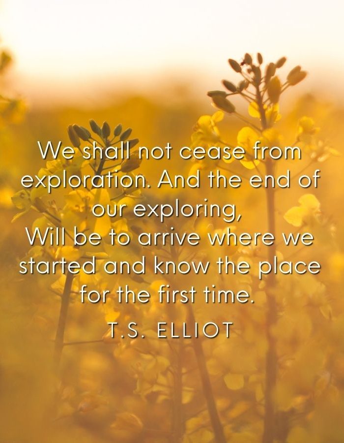 We shall not cease from exploration, and the end of all our exploring will be to arrive where we started and know the place for the first time. T S Elliot